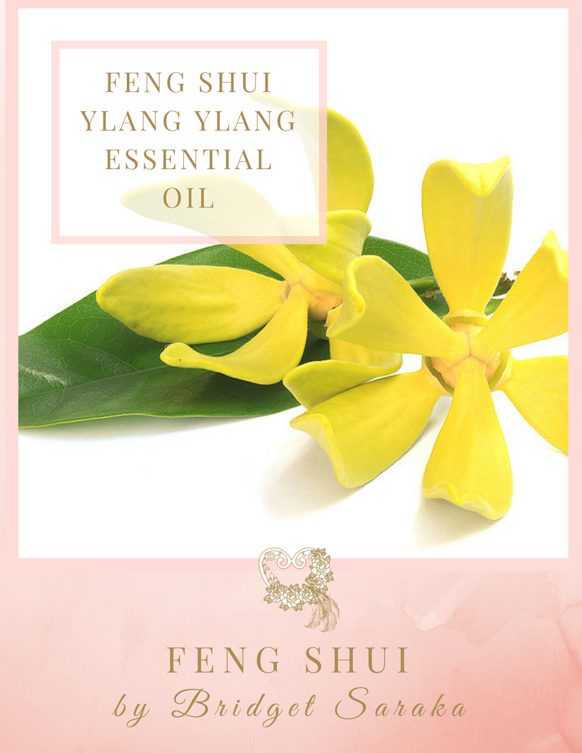 Feng Shui Ylang Ylang Essential Oil Feng Shui by Bridget