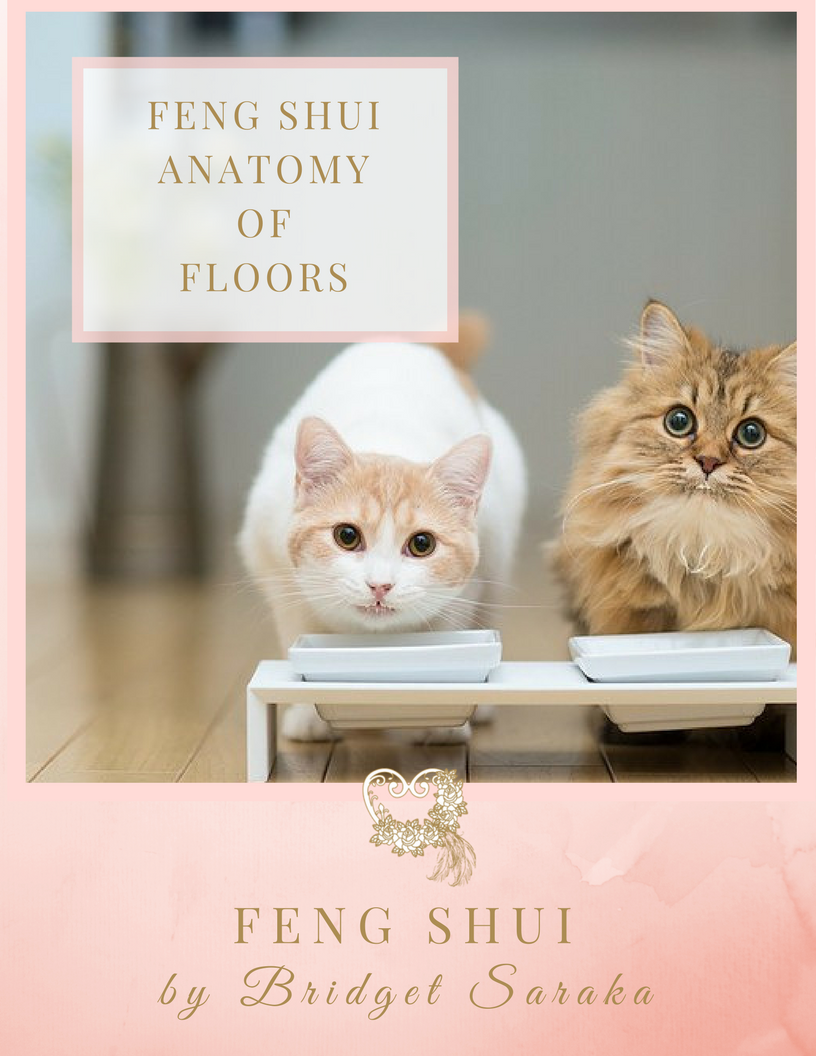 The Feng Shui Anatomy of Floors