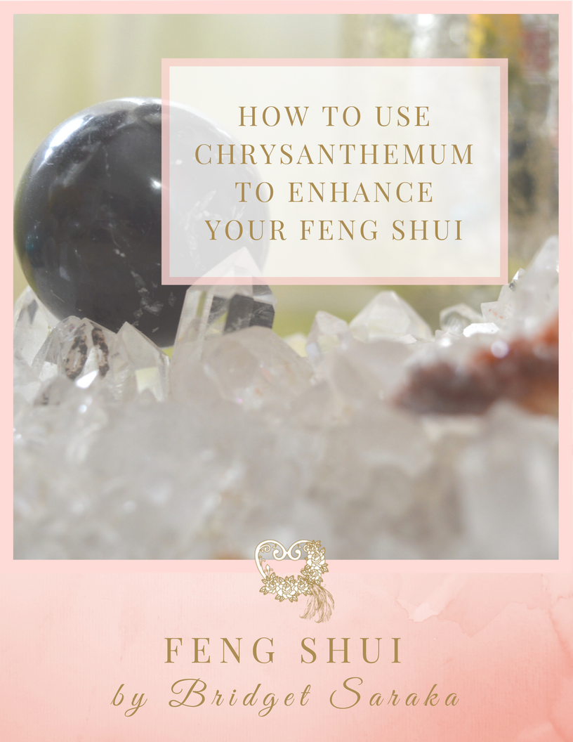 How to use Chrysanthemum to Enhance Your Feng Shui