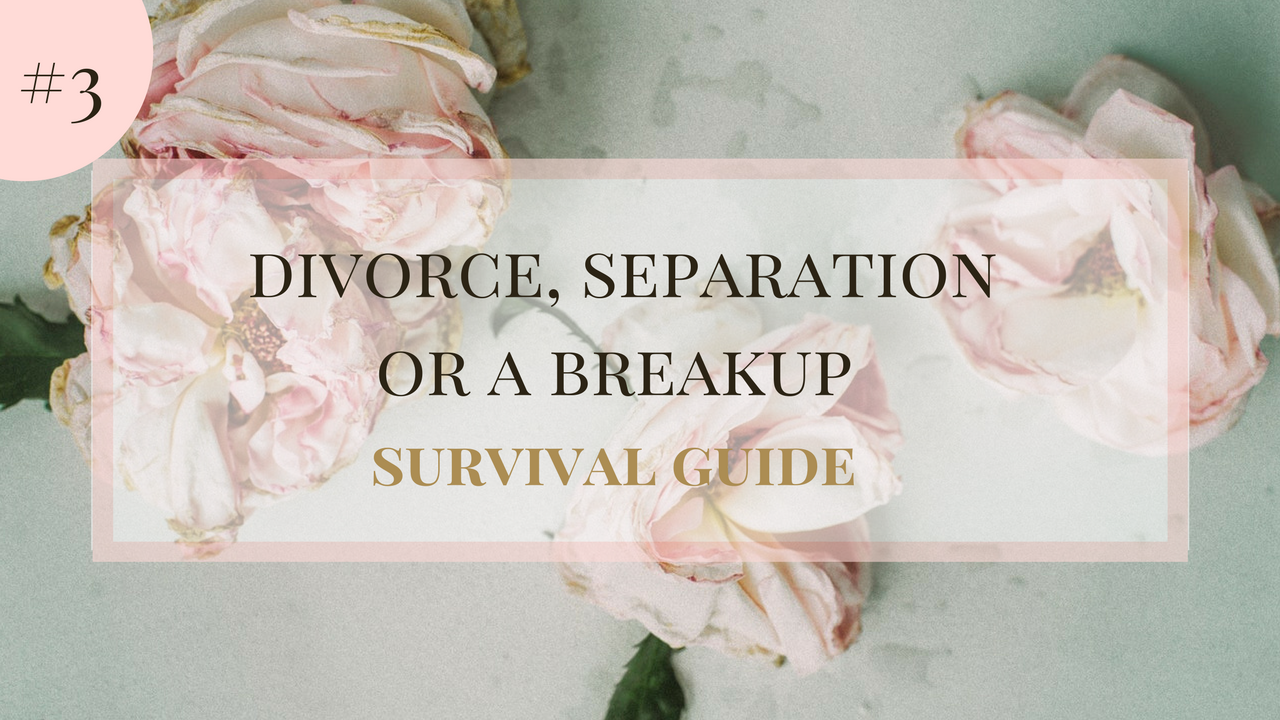 How to Survive a Divorce #3