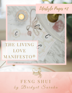 Bridget Saraka The Living Love Manifesto