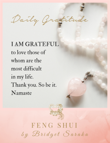 Daily Gratitude Volume 2 by Bridget Saraka (12)