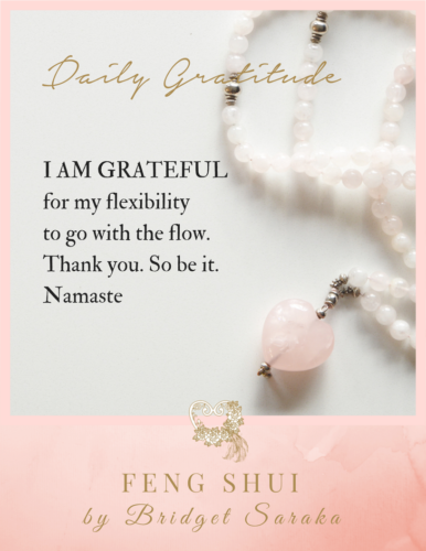 Daily Gratitude Volume 2 by Bridget Saraka (2)