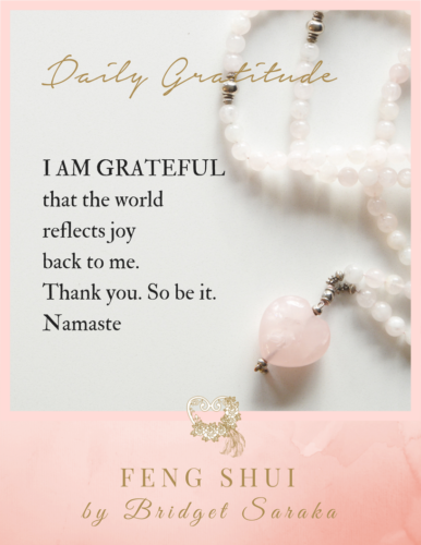 Daily Gratitude Volume 2 by Bridget Saraka (25)