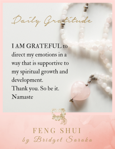 Daily Gratitude Volume 2 by Bridget Saraka (26)