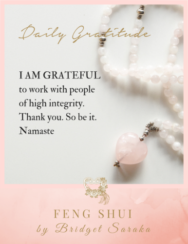 Daily Gratitude Volume 2 by Bridget Saraka (27)