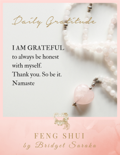 Daily Gratitude Volume 2 by Bridget Saraka (29)