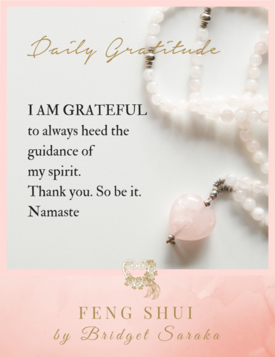 Daily Gratitude Volume 2 by Bridget Saraka (3)
