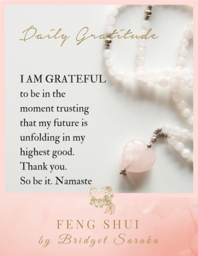 Daily Gratitude Volume 2 by Bridget Saraka (7)