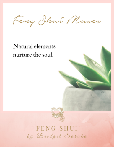 Feng Shui Muses by Bridget Saraka